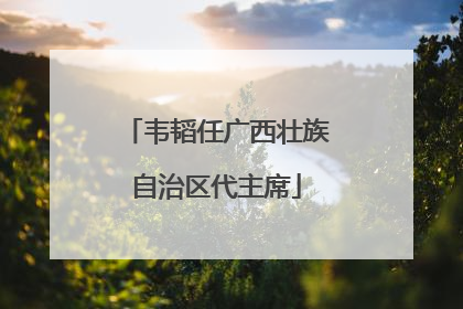 韦韬任广西壮族自治区代主席