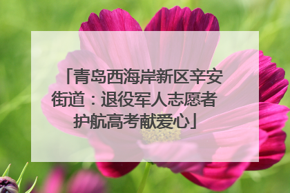 青岛西海岸新区辛安街道：退役军人志愿者护航高考献爱心