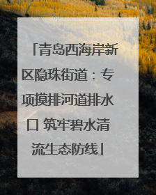 青岛西海岸新区隐珠街道：专项摸排河道排水口 筑牢碧水清流生态防线