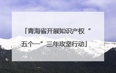 青海省开展知识产权“五个一”三年攻坚行动