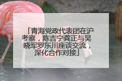 青海党政代表团在沪考察，陈吉宁龚正与吴晓军罗东川座谈交流，深化合作对接