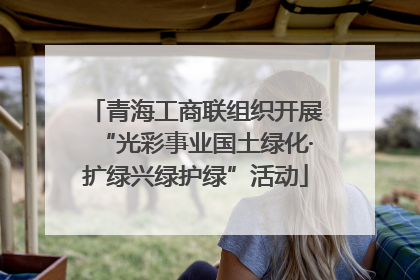 青海工商联组织开展“光彩事业国土绿化·扩绿兴绿护绿”活动