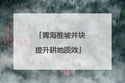 青海推坡并块提升耕地质效