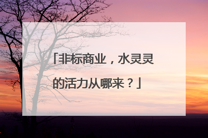 非标商业，水灵灵的活力从哪来？