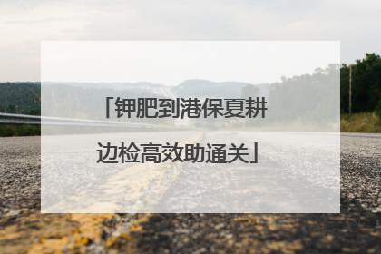 钾肥到港保夏耕 边检高效助通关