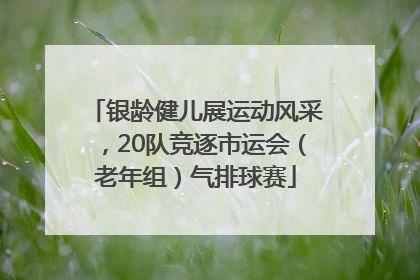 银龄健儿展运动风采，20队竞逐市运会（老年组）气排球赛
