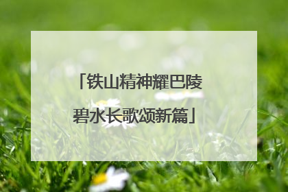 铁山精神耀巴陵 碧水长歌颂新篇