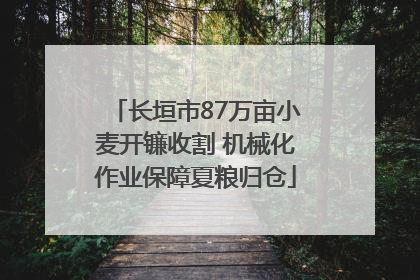 长垣市87万亩小麦开镰收割 机械化作业保障夏粮归仓