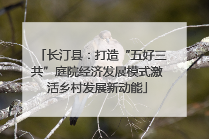 长汀县：打造“五好三共”庭院经济发展模式激活乡村发展新动能