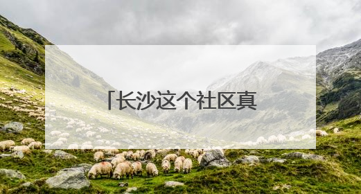 长沙这个社区真会玩！端午粽子里“藏”着基层治理的甜咸密码