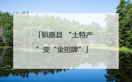 镇原县 “土特产”变“金招牌”
