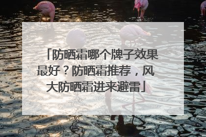 防晒霜哪个牌子效果最好？防晒霜推荐，风大防晒霜进来避雷