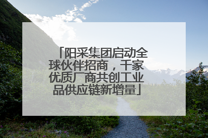 阳采集团启动全球伙伴招商，千家优质厂商共创工业品供应链新增量