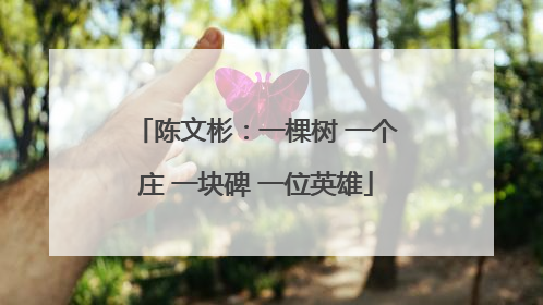 陈文彬：一棵树 一个庄 一块碑 一位英雄