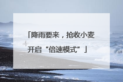 降雨要来，抢收小麦开启“倍速模式”