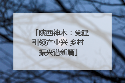 陕西神木：党建引领产业兴 乡村振兴谱新篇