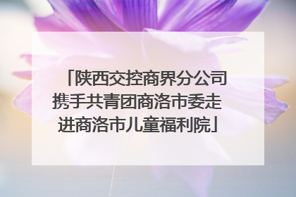 陕西交控商界分公司携手共青团商洛市委走进商洛市儿童福利院