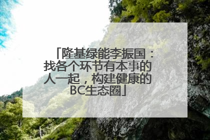隆基绿能李振国：找各个环节有本事的人一起，构建健康的BC生态圈