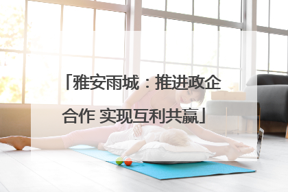 雅安雨城：推进政企合作 实现互利共赢