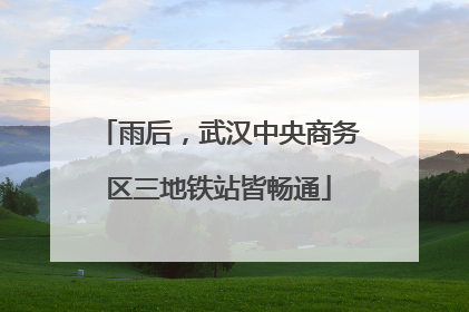 雨后，武汉中央商务区三地铁站皆畅通
