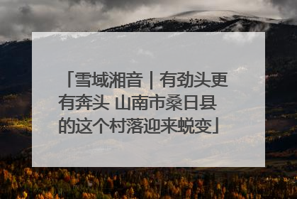 雪域湘音｜有劲头更有奔头 山南市桑日县的这个村落迎来蜕变