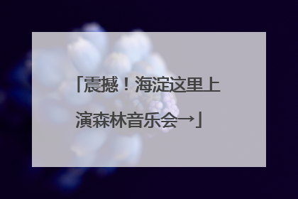 震撼！海淀这里上演森林音乐会→