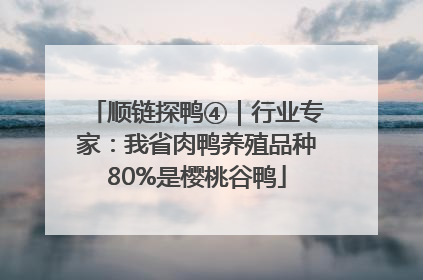 顺链探鸭④｜行业专家：我省肉鸭养殖品种80%是樱桃谷鸭
