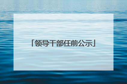 领导干部任前公示