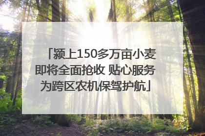 颍上150多万亩小麦即将全面抢收 贴心服务为跨区农机保驾护航