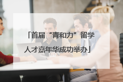 首届“青和力”留学人才嘉年华成功举办