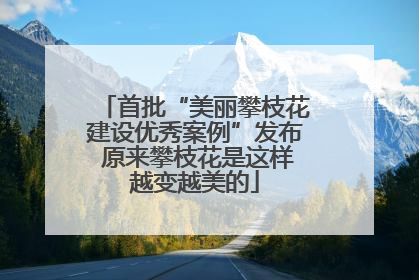 首批“美丽攀枝花建设优秀案例”发布 原来攀枝花是这样越变越美的