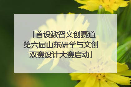 首设数智文创赛道 第六届山东研学与文创双赛设计大赛启动