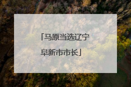 马原当选辽宁阜新市市长