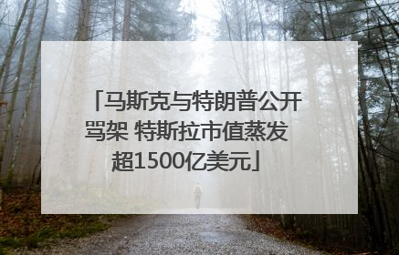 马斯克与特朗普公开骂架 特斯拉市值蒸发超1500亿美元