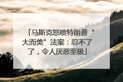 马斯克怒喷特朗普“大而美”法案：忍不了了，令人厌恶至极