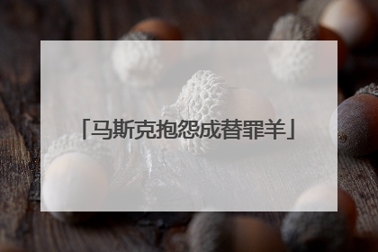马斯克抱怨成替罪羊