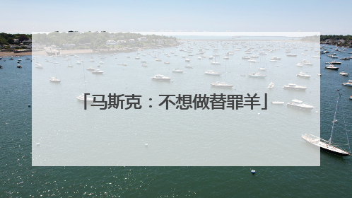 马斯克：不想做替罪羊