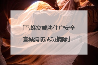 马蜂窝威胁住户安全 宣城消防成功摘除