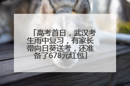 高考首日，武汉考生雨中复习，有家长带向日葵送考，还准备了678元红包