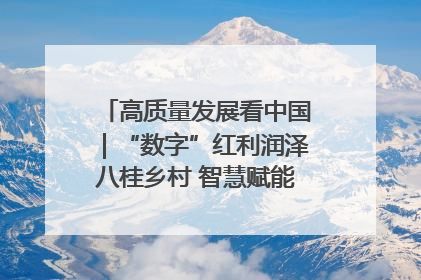高质量发展看中国｜“数字”红利润泽八桂乡村 智慧赋能绘就振兴画卷