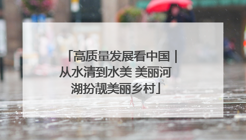 高质量发展看中国｜从水清到水美 美丽河湖扮靓美丽乡村