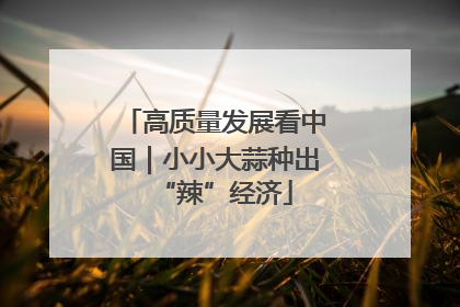 高质量发展看中国｜小小大蒜种出“辣”经济