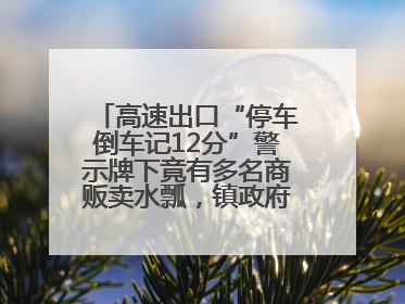 高速出口“停车倒车记12分”警示牌下竟有多名商贩卖水瓢，镇政府：系流动摊位，已多次劝离