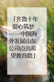 齐鲁十年 爱心筑梦——中国海外发展山东公司点亮希望教育路