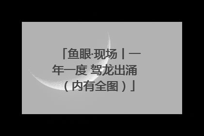 鱼眼·现场丨一年一度 驾龙出涌（内有全图）