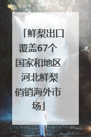 鲜梨出口覆盖67个国家和地区 河北鲜梨俏销海外市场