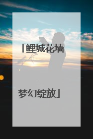 鲤城花墙 梦幻绽放