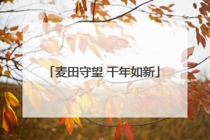 麦田守望 千年如新