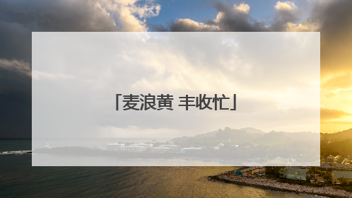 麦浪黄 丰收忙