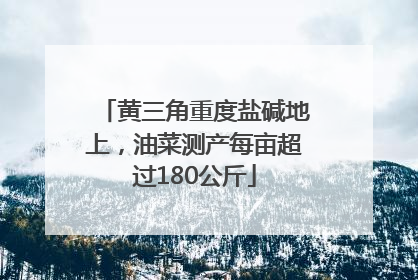 黄三角重度盐碱地上，油菜测产每亩超过180公斤